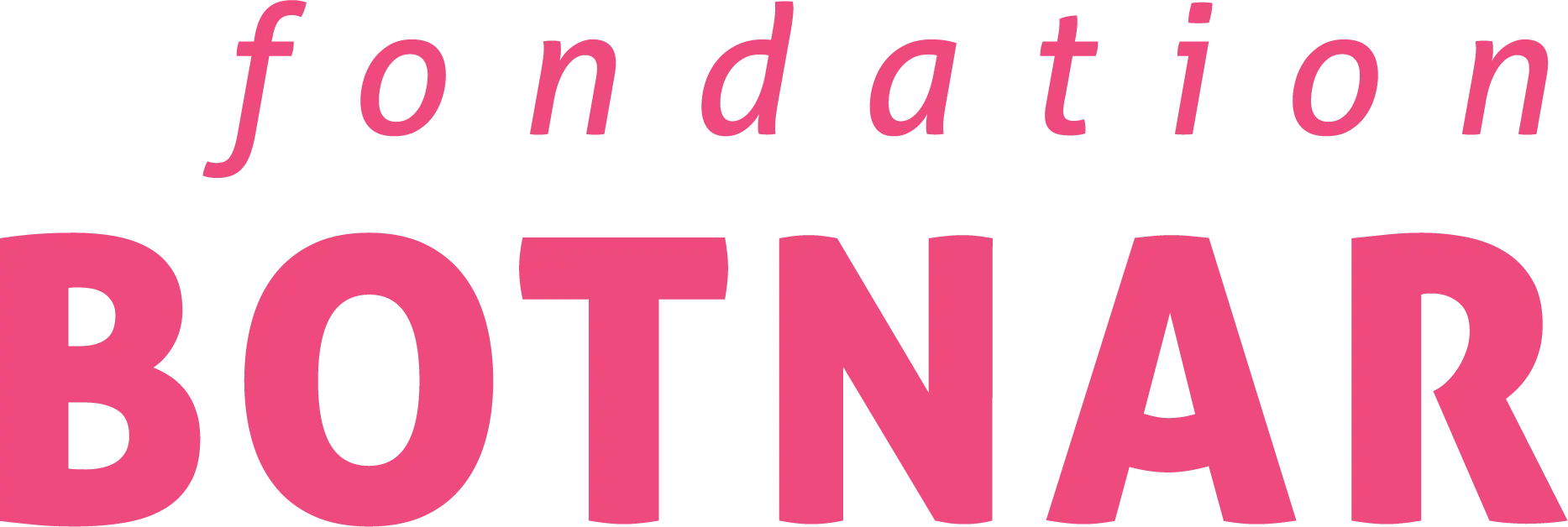 Fondation Botnar partner logo